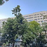 Dristor - Camil Ressu / P-ta Ramnicu Sarat, metrou la 450 m, etaj 2/10